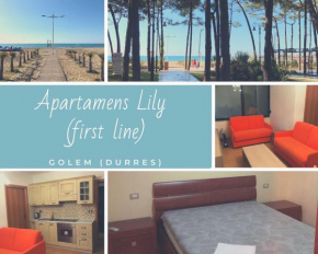 Apartments Lily (first line)